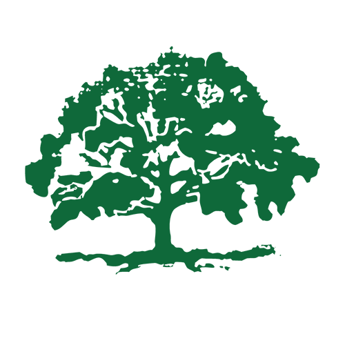 Armour Hill Tree Care